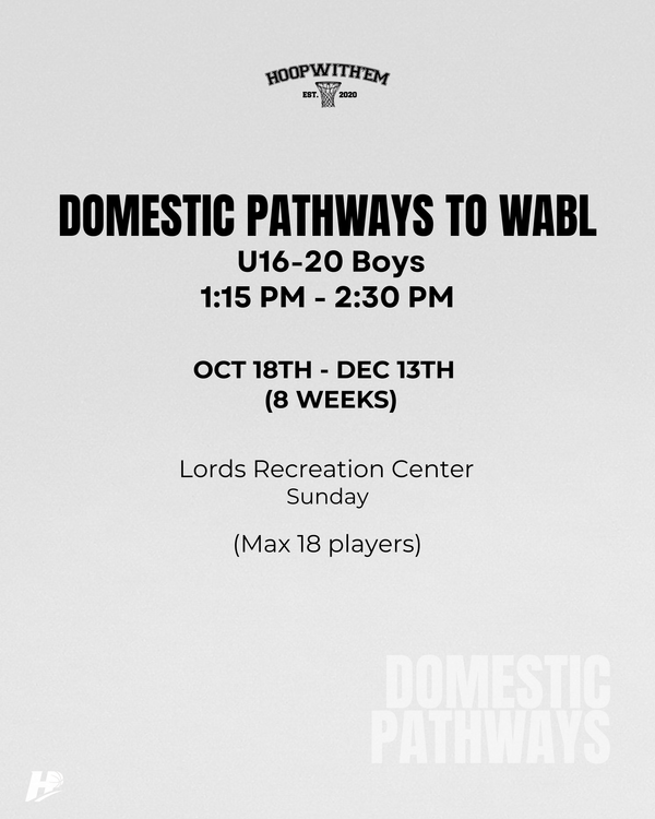 TERM 4: Domestic Pathways to WABL - U16-20 Boys